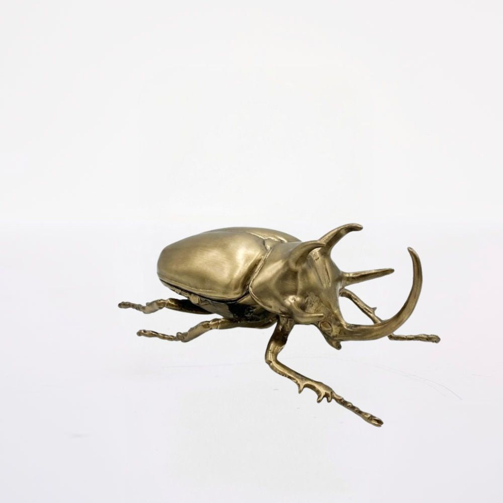 Escarabajo