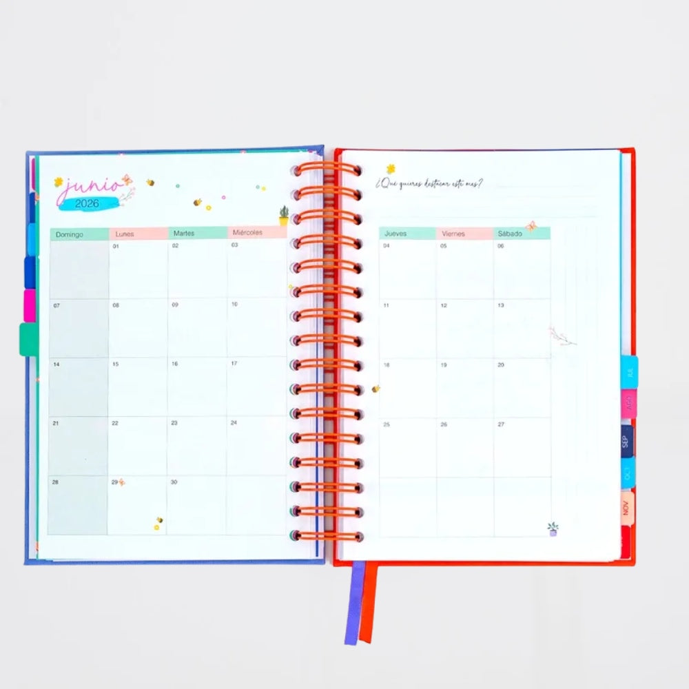 Agenda Vibes 12 Meses