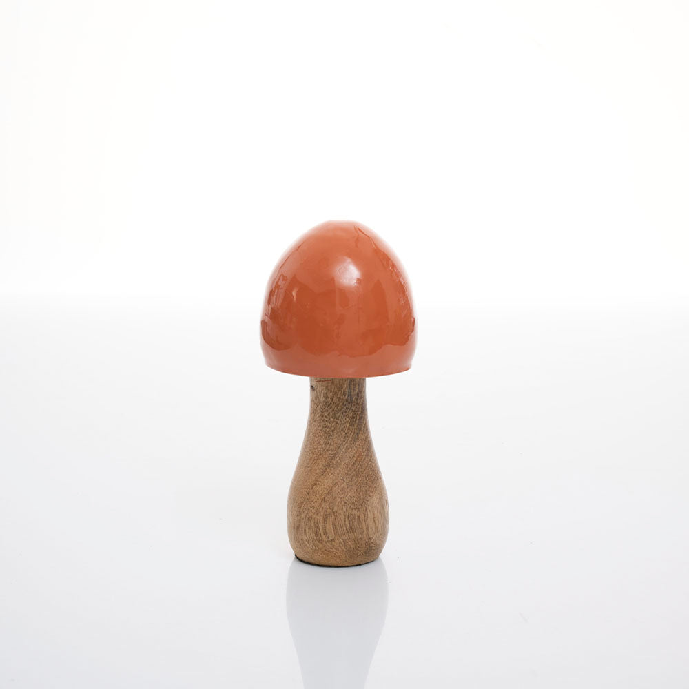 Hongo Naranja 6"