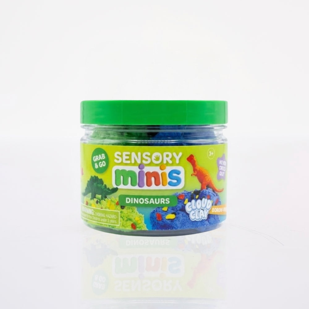 Sensory Minis Dinosaurs