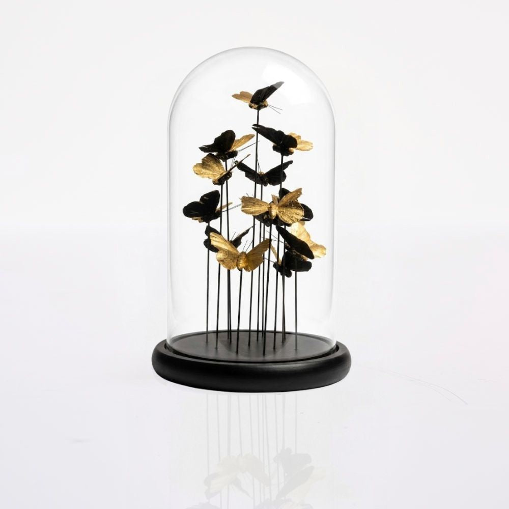 Golden Butterflies DomeL