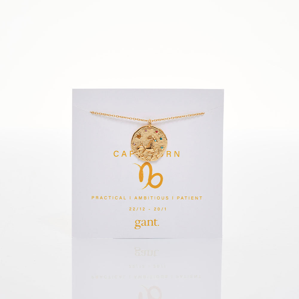 Necklace Capricorn Y