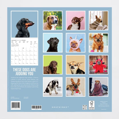 Calendario Judgamental Dogs 2027