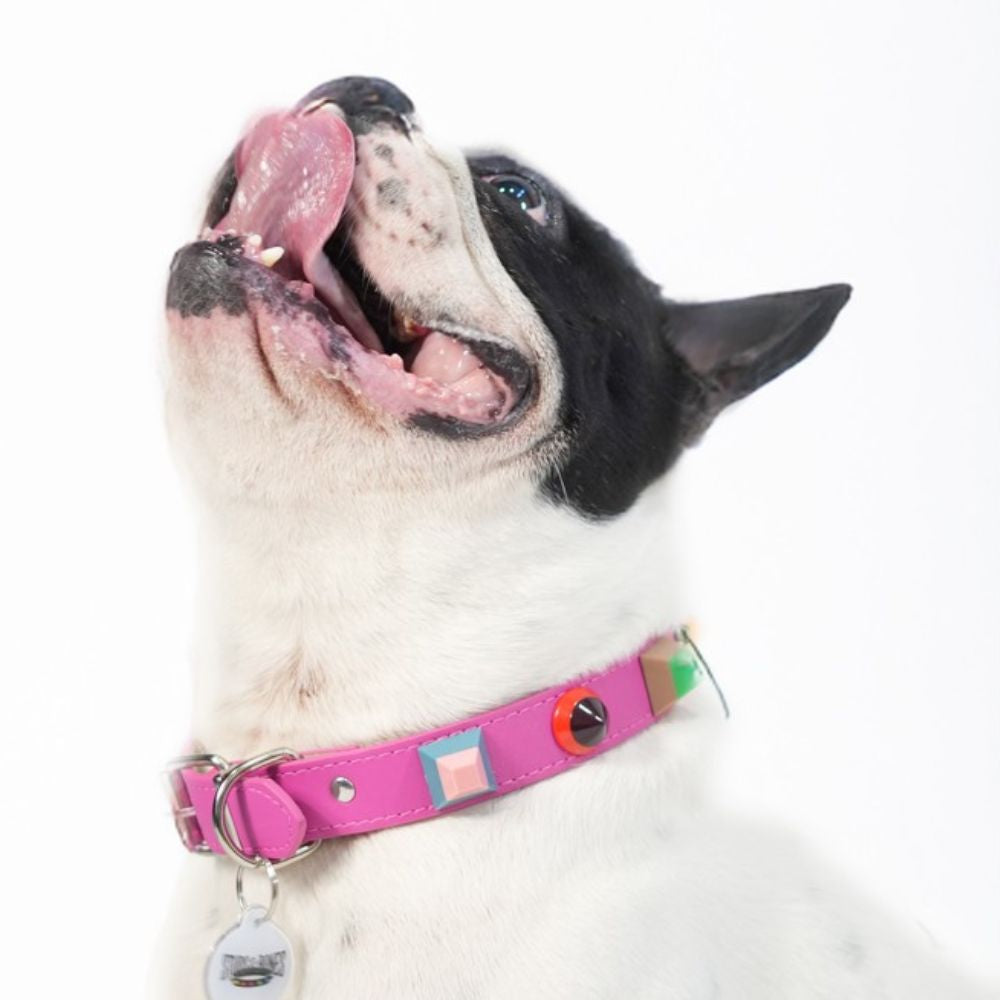 Collar S&B Fucsia Small