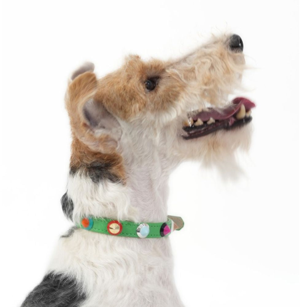 Collar S&B Verde Small