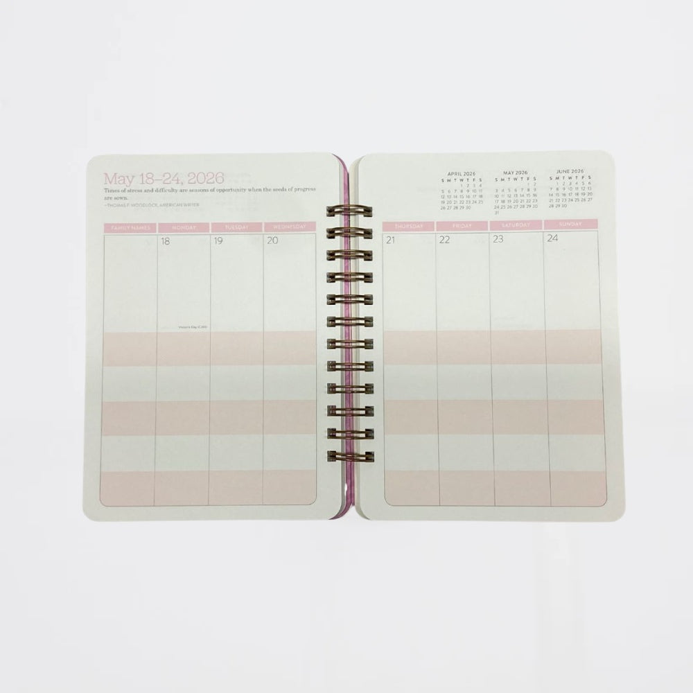 Agenda Catching Colors 17 Meses