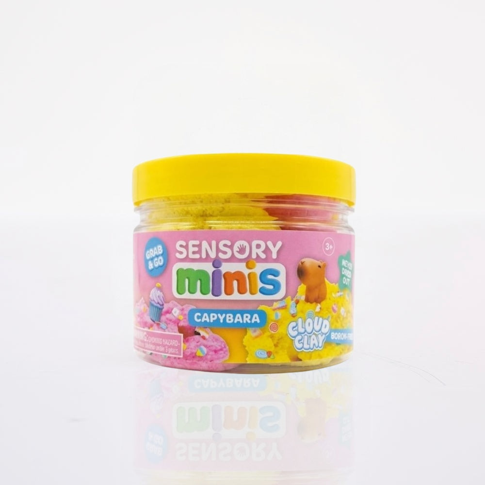 Sensory Minis Capybara
