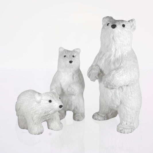 Set Osos Polares