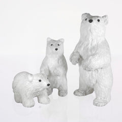 Set Osos Polares